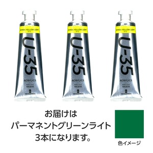 ターナー　U35　パーマネントグリーンライト60ml　3個