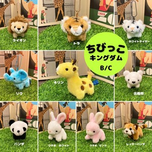 ちびっこキングダム　B/C