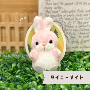 タイニーメイト　ウサギ