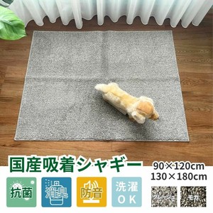 Carpet Anti-Odor Antibacterial
