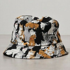 Hat Cats Goods Animals Casual