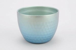 玻璃杯/杯子/保温杯