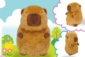 まねまねカピバラさん	HAC4405