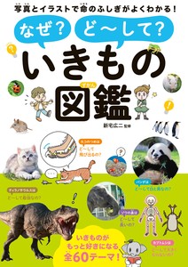 Children's Business Picture Book