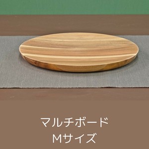 Main Plate