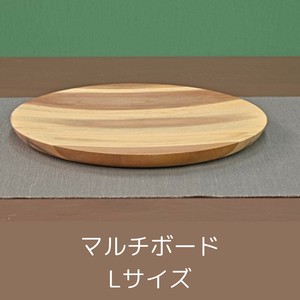 Main Plate
