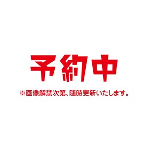 「サンリオ」「ぬいぐるみ」いちご新聞 M