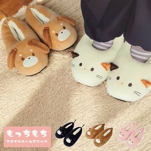 Socks Slipper Room