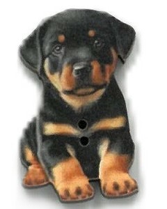 Button Puppy