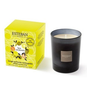 日本香堂 【予約販売】ESTEBAN キャンドル テールダグリューム
