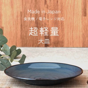 Main Plate Made in Japan