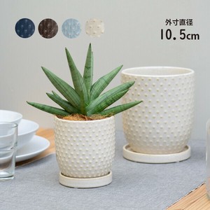 【インテリア鉢／陶器鉢／皿付】BOEX エイラ 10.5cm