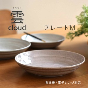 Main Plate
