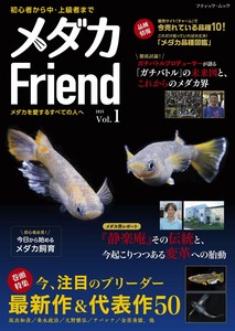 收藏/玩具期刊