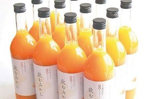 和歌山県・早和果樹園 有田みかんジュース「飲むみかん」 720mlx12本セット