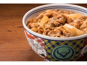【冷凍】吉野家牛丼の具120g×10食