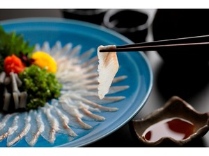 魚魚一 浜名湖産うなぎの刺身 ご自宅用