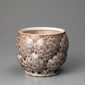 Individuai Pot-G