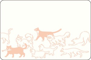 信函产品 猫