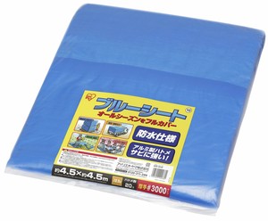 Picnic Blanket