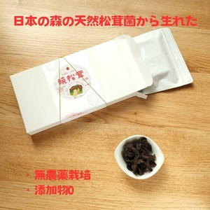暁松茸(Amatake)_珍味_桜燻製