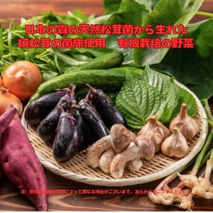 暁松茸(Amatake)_野菜ミックス