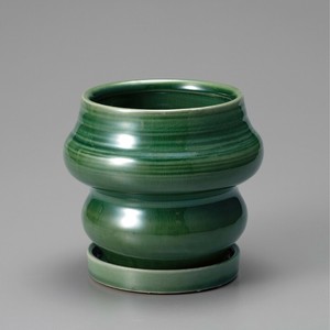 Raffinato Narrow-Green