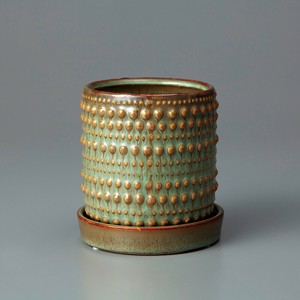 Raffinato Convex-Moss Green