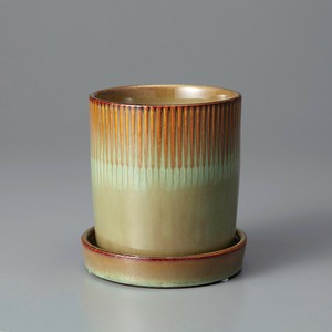 Raffinato Line-Moss Green