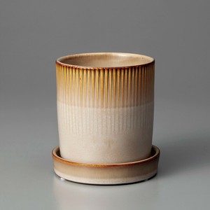 Raffinato Line-Cream