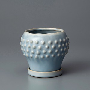 Raffinato Strange-Light Blue S