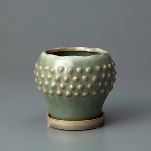 Raffinato Strange-Moss Green S