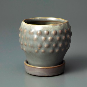 Raffinato Strange-Gray M