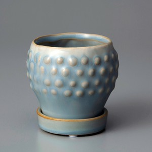 Raffinato Strange-Light Blue M