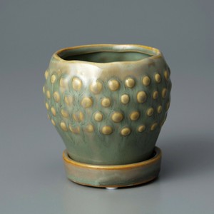 Raffinato Strange-Moss Green M