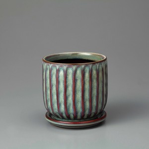 Kaunis Streak-S Blue-gray