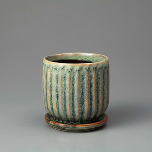Kaunis Streak-S Sage