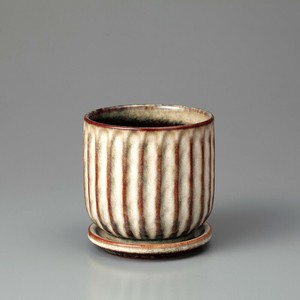 Kaunis Streak-S Cream