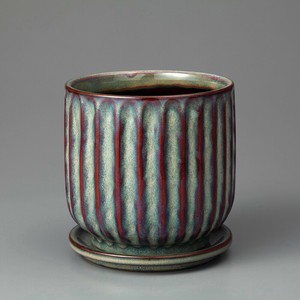 Kaunis Streak-M Blue-gray