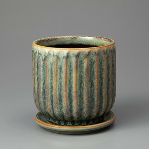 Kaunis Streak-M Sage