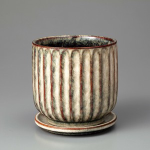 Kaunis Streak-M Cream