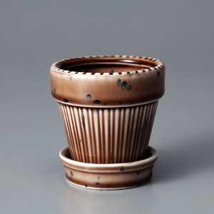 Kaunis Standard-S Brown