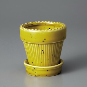Kaunis Standard-S Yellow