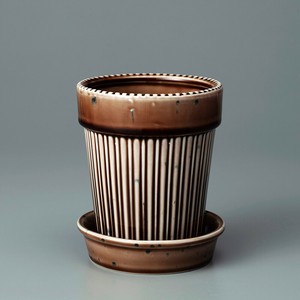 Kaunis Standard-M Brown