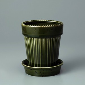 Kaunis Standard-M Green