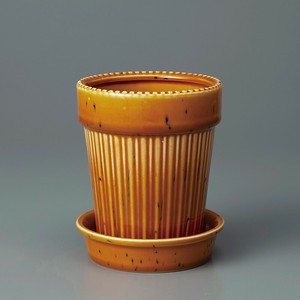 Kaunis Standard-M Orange