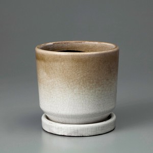 Velho-C Gradation Beige