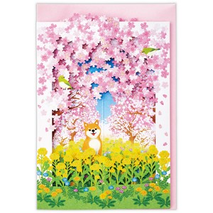 G春BL立体桜と花畑