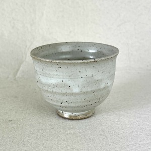 Japanese Teacup