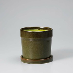 Kaunis-Green
